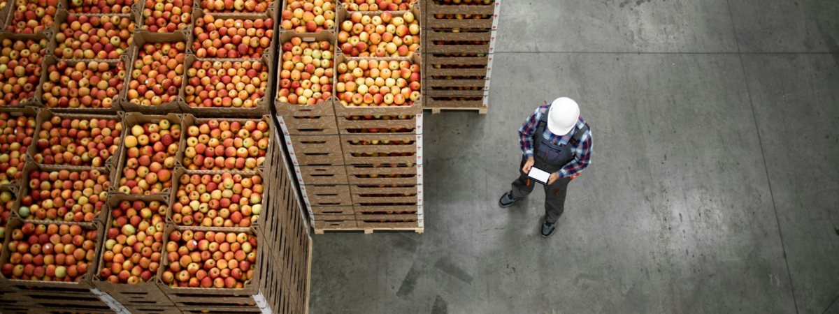 6 spôsobov ako optimalizovať logistiku a distribúciu čerstvých potravín
