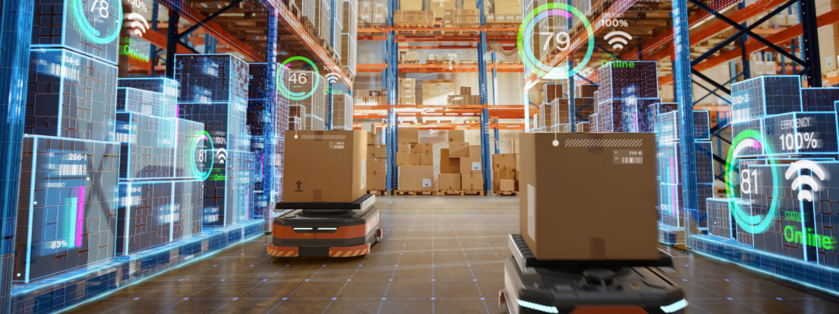 warehouse robotization automation
